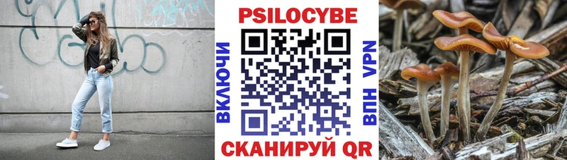 Псилоцибиновые грибы мицелий  Обнинск 